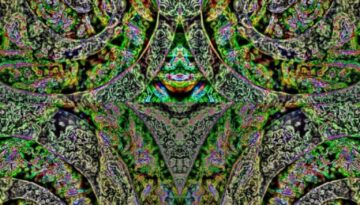 151466322_541121696813074_1641676442578613975_n