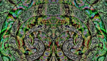 151516933_208864160925685_192149540053331517_n