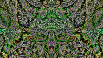 151624860_769272767303507_2545029327216170152_n