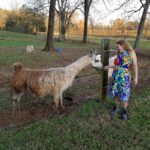 #31 ~ PoRtAL oF LeVeLuPtiOn ReFLeCtEd iN ThE BuTtErFLy EfFeCt ~ TaPeStRy