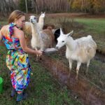 #31 ~ PoRtAL oF LeVeLuPtiOn ReFLeCtEd iN ThE BuTtErFLy EfFeCt ~ TaPeStRy