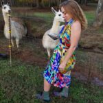 #31 ~ PoRtAL oF LeVeLuPtiOn ReFLeCtEd iN ThE BuTtErFLy EfFeCt ~ TaPeStRy